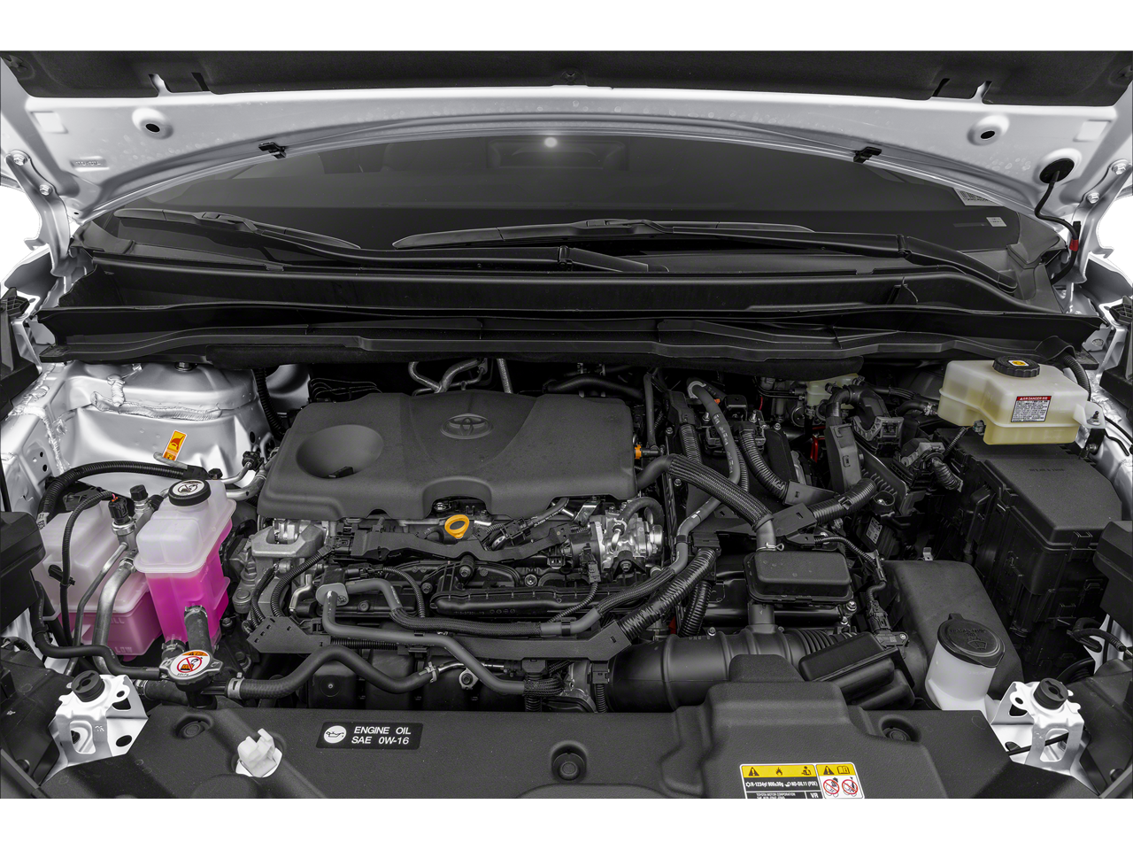 2025 Toyota Sienna Mobility LE 8 Passenger