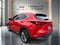 2023 Lexus NX 350 Luxury