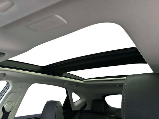 2023 Lexus NX 350 Luxury