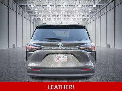 2025 Toyota Sienna XLE 8 Passenger